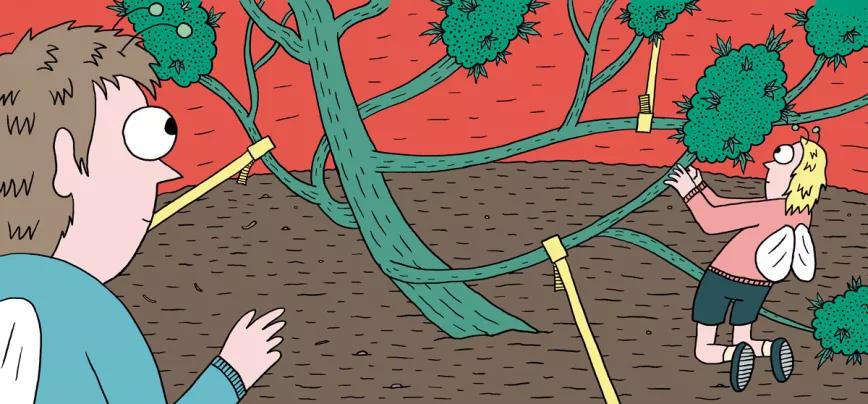 Ocho trucos y técnicas para manejar el tamaño y la forma de las plantas 