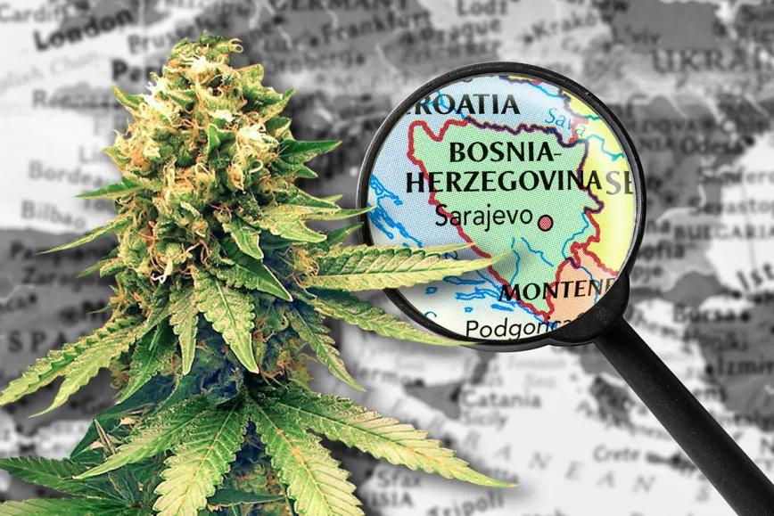 Bosnia y Herzegovina mira a la regulación del cannabis medicinal