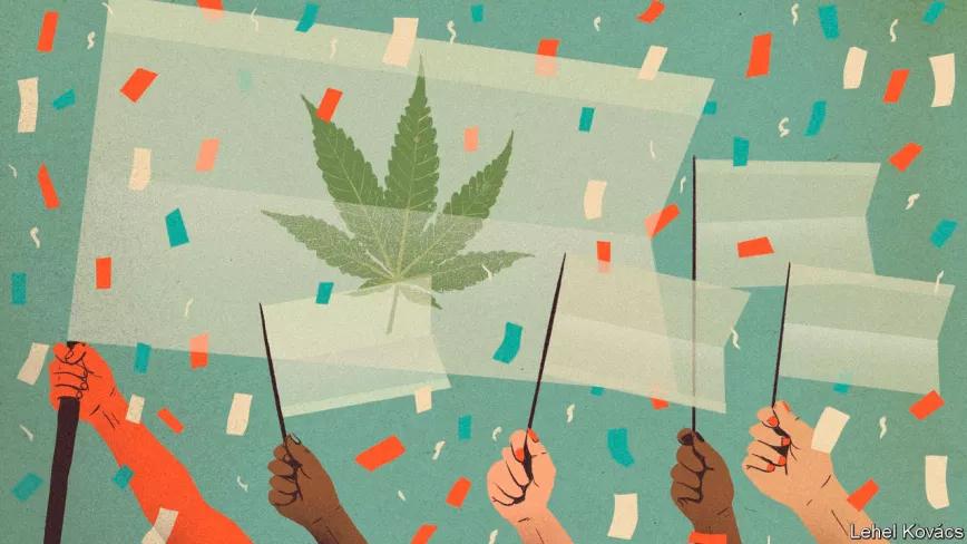 Es hora de regular - Editorial revista Cáñamo España 312