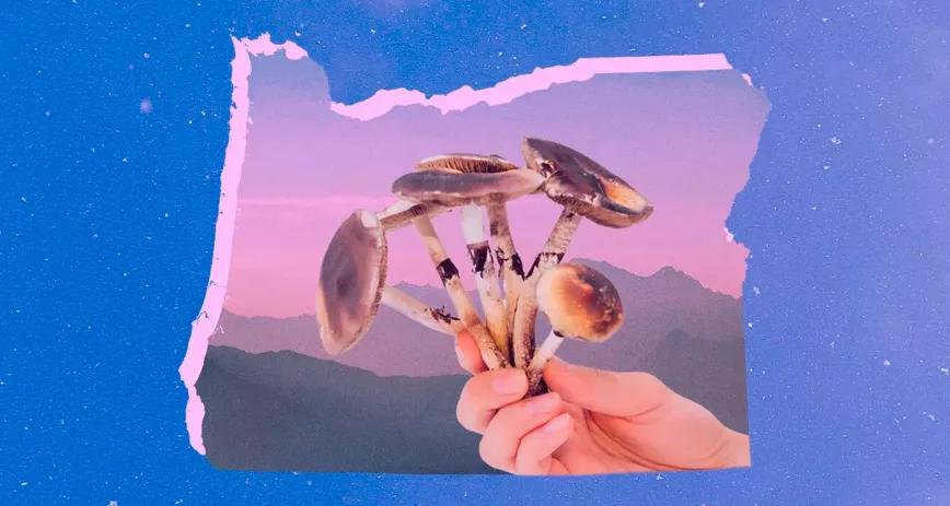 Los tratamientos legales con psilocibina de Oregón atraen a personas de todo EE UU 