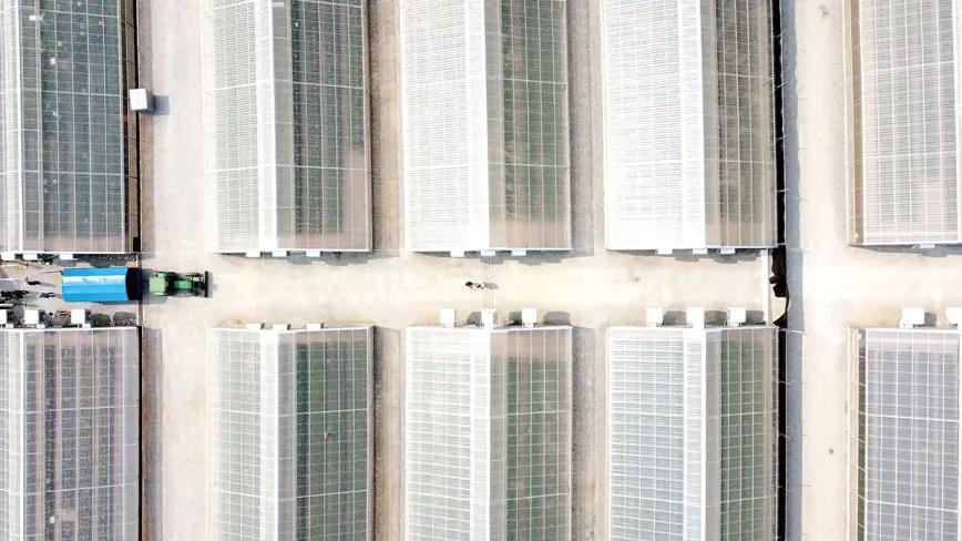 El sueño cumplido de Arjan Roskam. Cómo Green House desembarcó en Tailandia