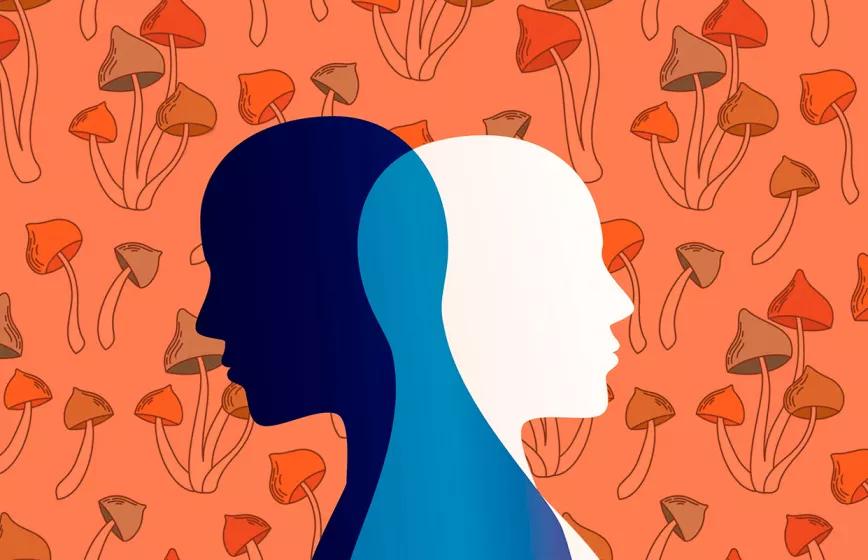 Un pequeño estudio analiza la seguridad de la psilocibina en personas con bipolaridad 