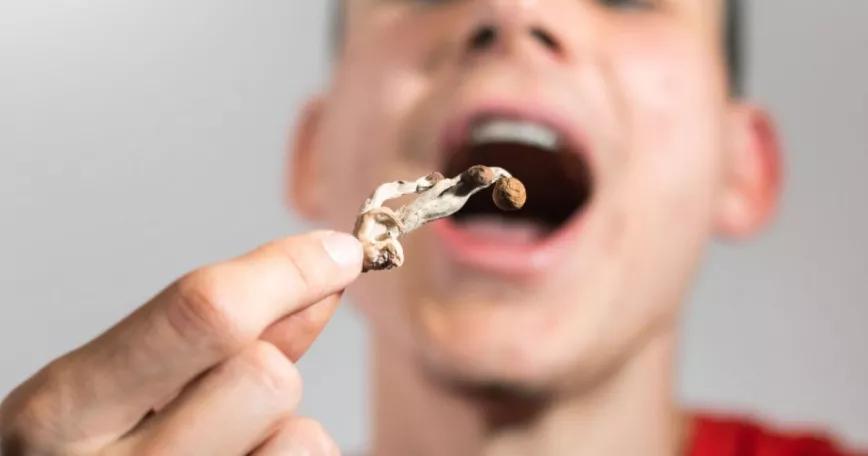 Un tribunal de EE UU rechaza la petición para que la psilocibina se reclasifique para uso médico