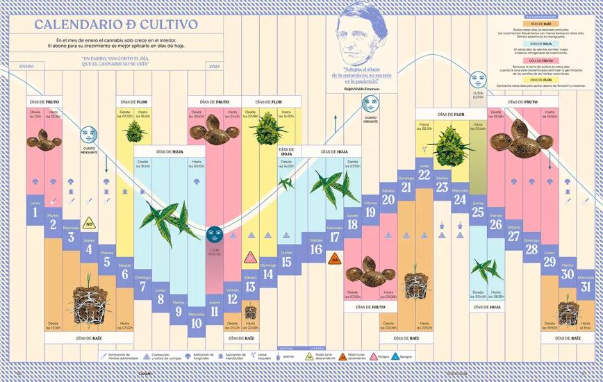 Calendario biodinámico y lunario de enero 2024. Cáñamo 313