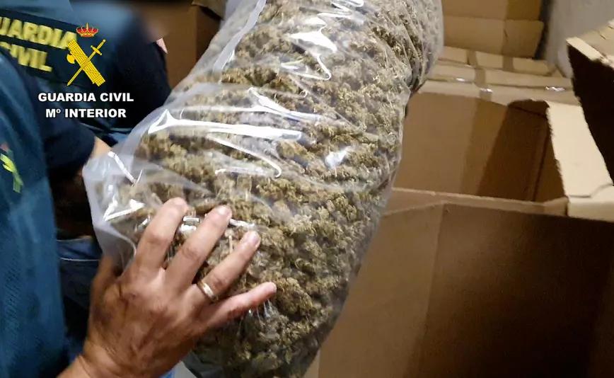 Ministerio de Interior le paga 395 mil euros a una empresa para destruir cultivos de cannabis en España