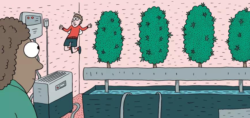 Diez trucos para automatizar un cultivo de interior