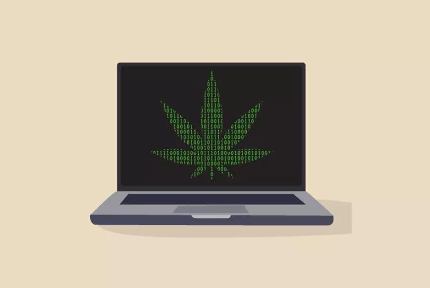 EEUU usará fondos federales para una investigación sobre cannabis medicinal