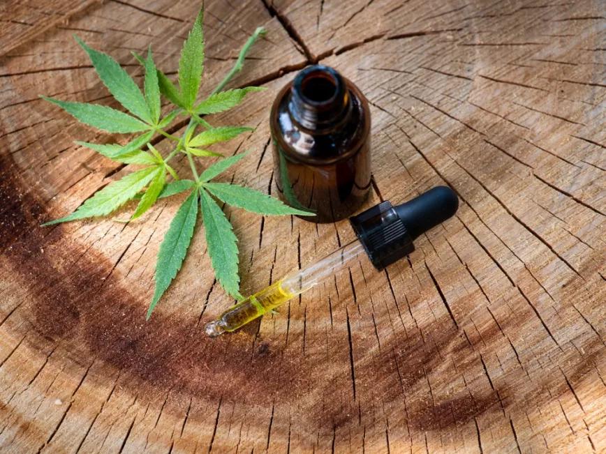 Las mejores flores de CBD en España son de Gorilla Grillz