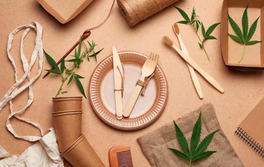 México: producirán bioplásticos de cáñamo cultivado en el país