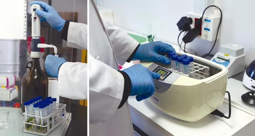 El análisis de terpenos se realiza con una cromatografía de gases. Luego, los resultados se comparan con una encuesta realizada a los socios de los clubes de Cataluña.