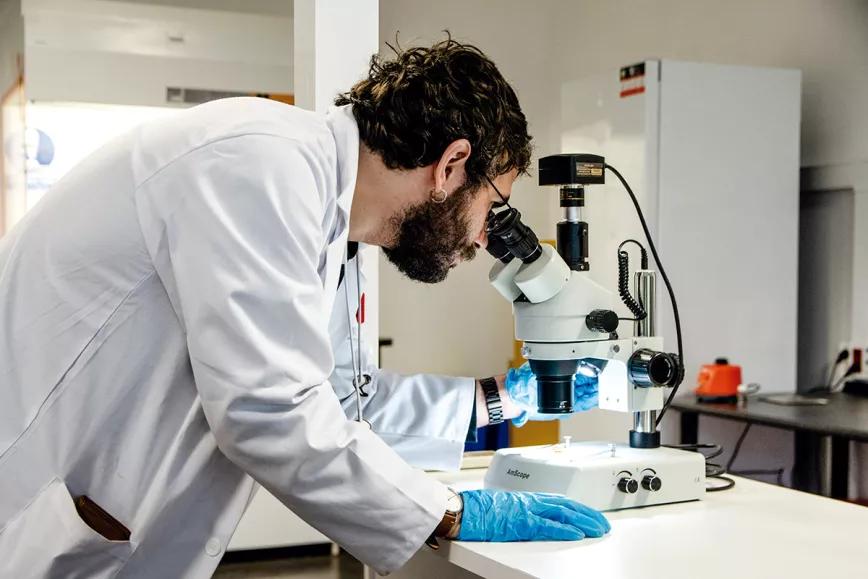 En Allora se especializan en la caracterización de terpenos. Pero también analizan la presencia de metales pesados, pesticidas y el viroide del lúpulo.