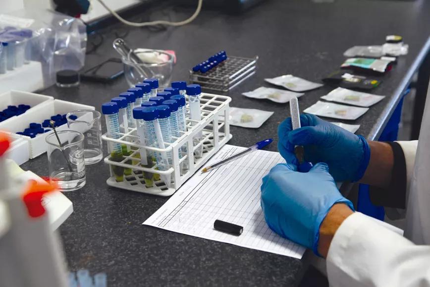 “No queremos que el mercado elija tu flor. Queremos que entiendas cuáles son los componentes de la planta que influyen en los efectos y que tú elijas”, asegura Ramón González