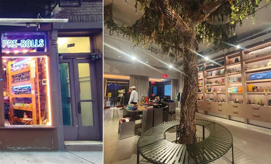 Gotham, un dispensario lujoso y con licencia, cuyo lema es: “Imaginando un espacio superior para el cannabis en la ciudad de Nueva York”