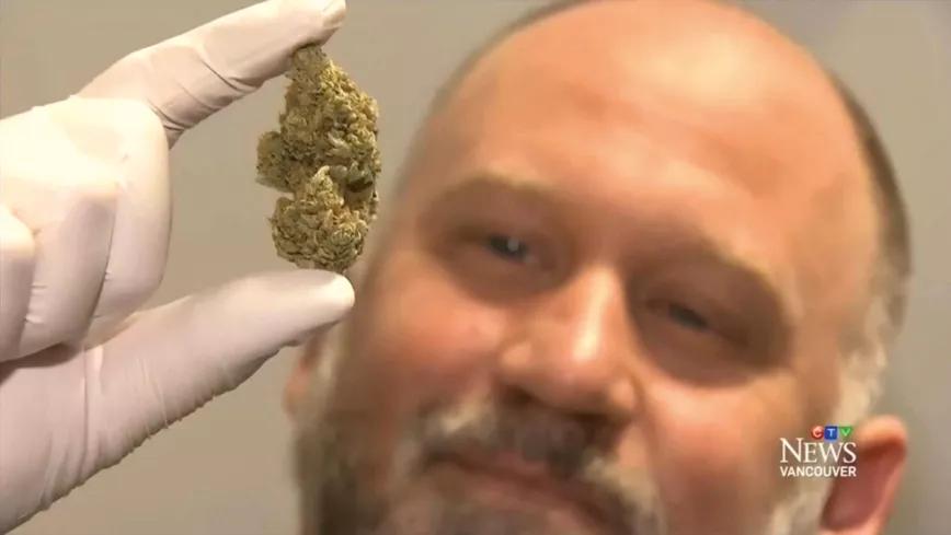 Uno de los cogollos a la venta en su dispensario no autorizado en Vancouver. La imagen es una captura de 2016 del  telediario de la televisión de Vancouver.