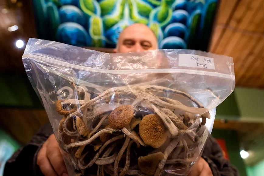 Dana Larsen o cómo acabar con la guerra contra las drogas vendiendo drogas ilegales 