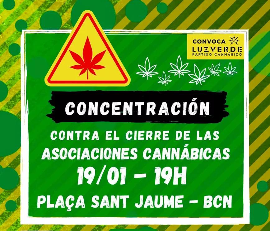 Luz Verde convoca a una manifestación cannábica frente al Ayuntamiento de Barcelona