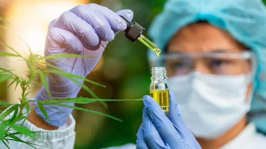 Brasil: aprueban el primer medicamento con THC