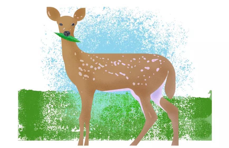 Observatorio Norteamericano Minesota