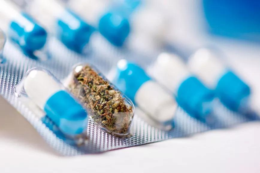 Los farmacéuticos españoles presionan para llevarse el mercado del cannabis medicinal
