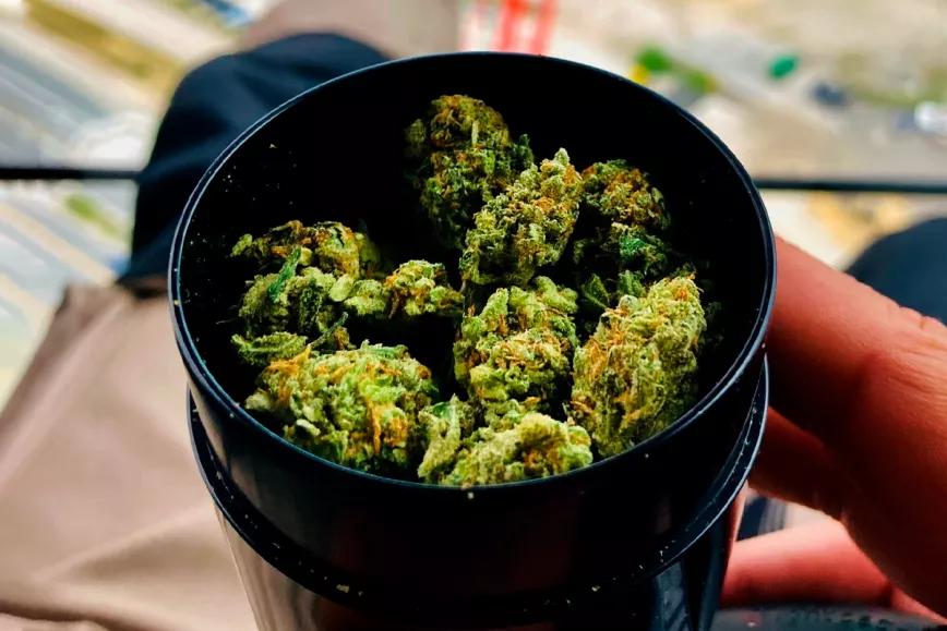 las donaciones de cannabis son una herramienta para tratar las adicciones a drogas