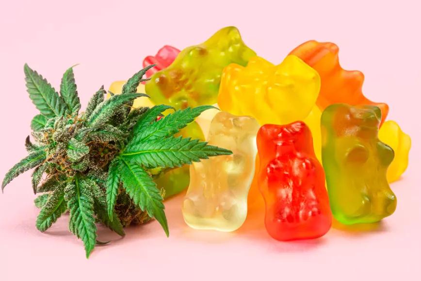 Barcelona creará un sistema de licencias para la venta de comestibles de cannabis