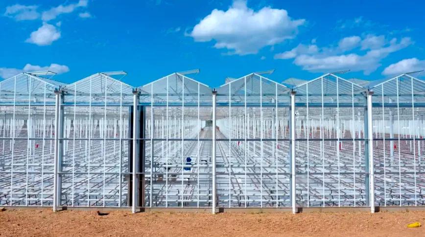 Se vuelve a atrasar el inicio del cultivo de cannabis en la empresa Ondara