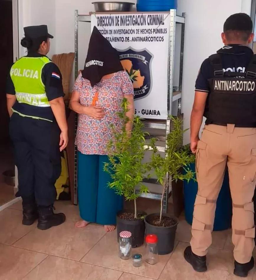 Paraguay: detienen a una jubilada suiza por cultivar dos plantas de cannabis