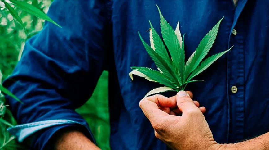 La cooperativa Virgocoop quiere combatir la “moda rápida” con prendas de cáñamo