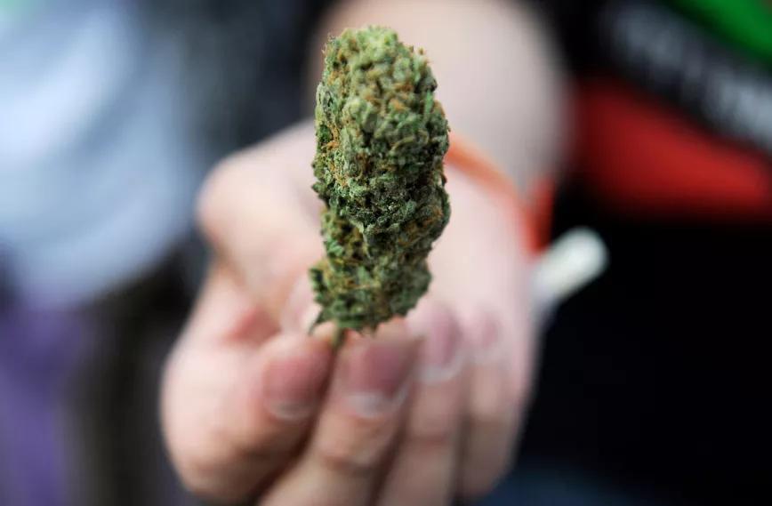 La legalización del cannabis no aumenta el consumo en los jóvenes