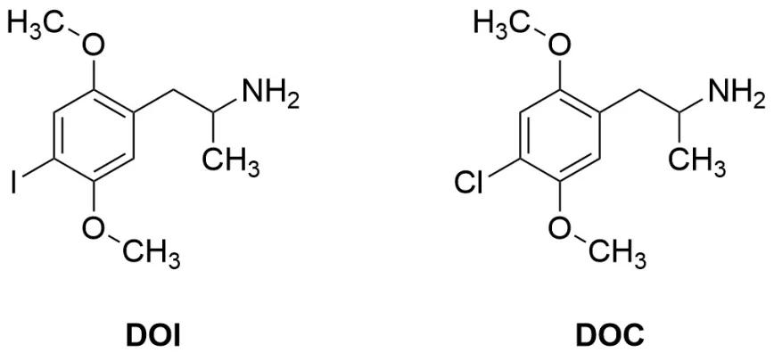 La prohibición del DOI: cuando ley, drogas y ciencia convergen
