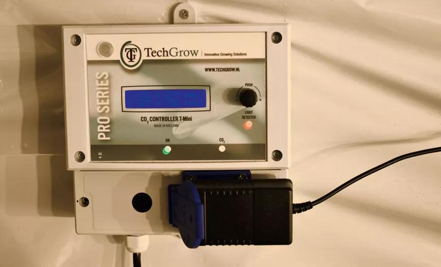 Plantas grandes, optimización del cultivo y máxima producción 