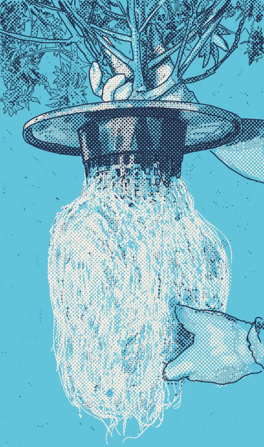 Nutrientes en un cultivo hidropónico horizontal 