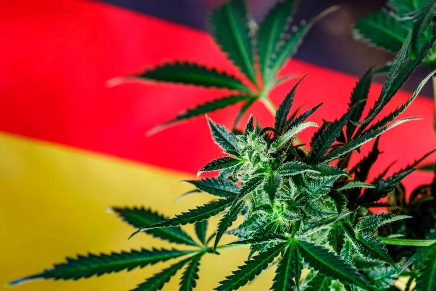 Realizan las primeras modificaciones a la legalización del cannabis en Alemania