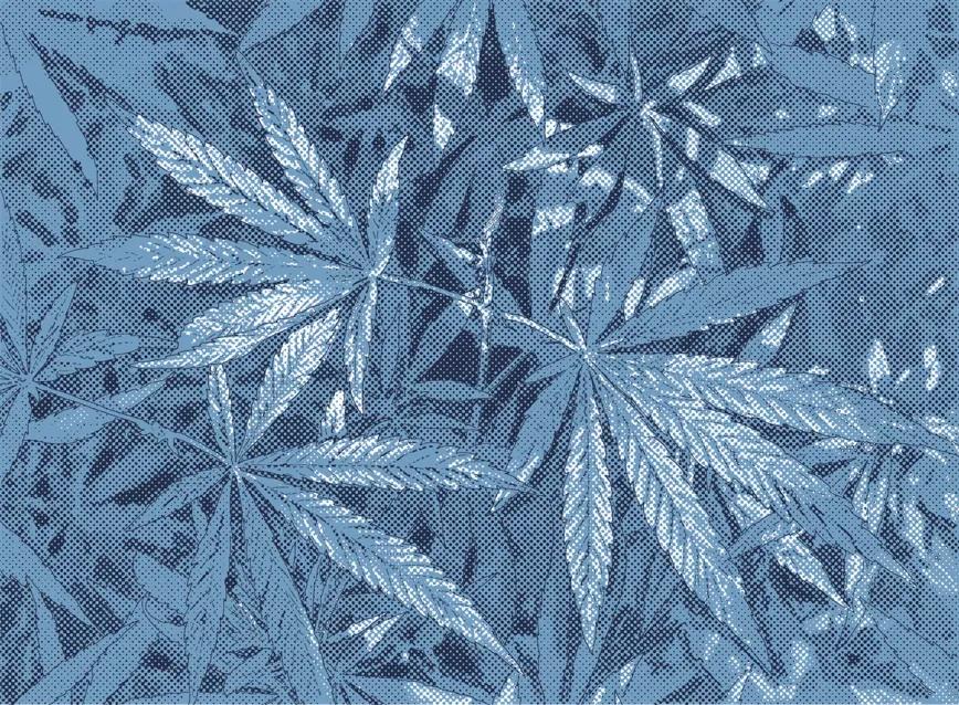 Los otros fotoperiodos 