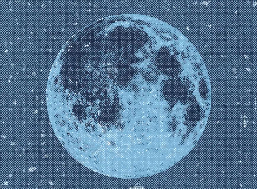 La luna y sus efectos sobre las plantas 