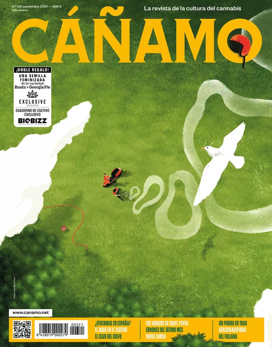 Cánamo 321 Ignasi Font