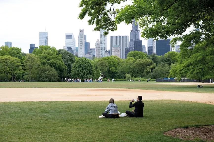 Debates y actualidades psicodélicas desde NY