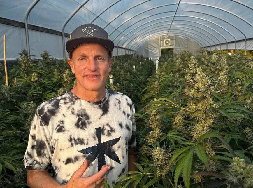 Woody Harrelson presiona al gobernador de California para abrir la industria del cannabis