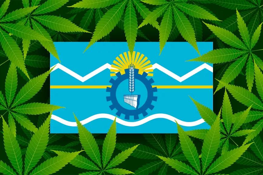 Una provincia argentina se convierte en la primera del país en crear una regulación del cannabis por fuera de la ley nacional
