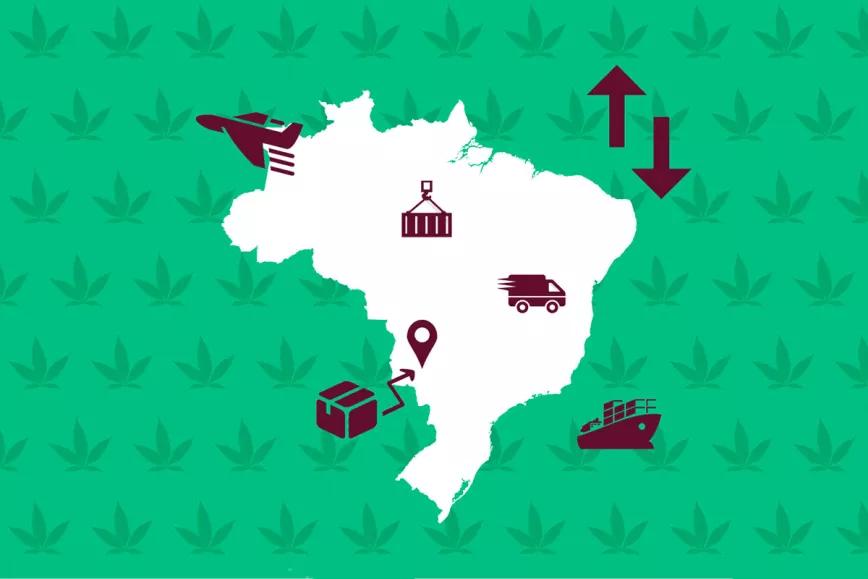 Brasil agiliza el trámite para importar productos de cannabis