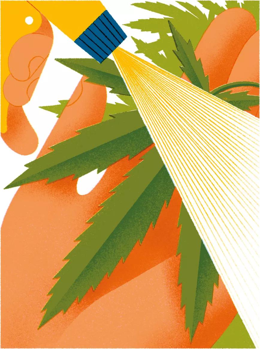 Verlas crecer -Consultorio jurídico