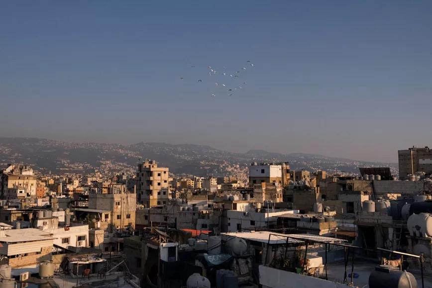 Fumando porros con el genocidio en los talones