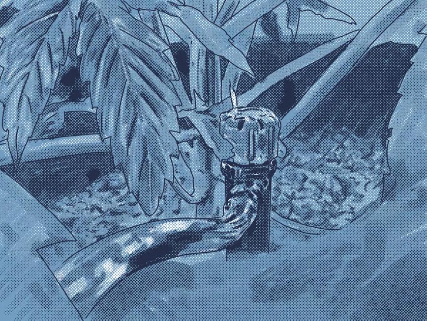 Riego automático en interior 