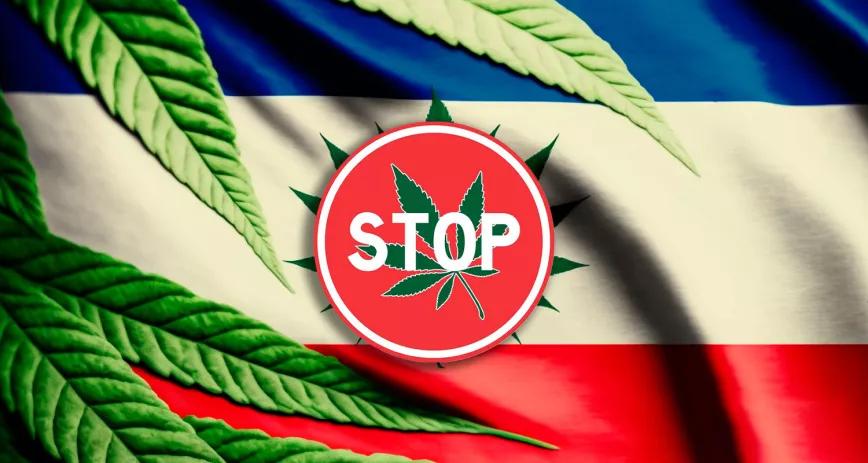 La Justicia de Costa Rica declaró inconstitucional un proyecto para legalizar el cannabis