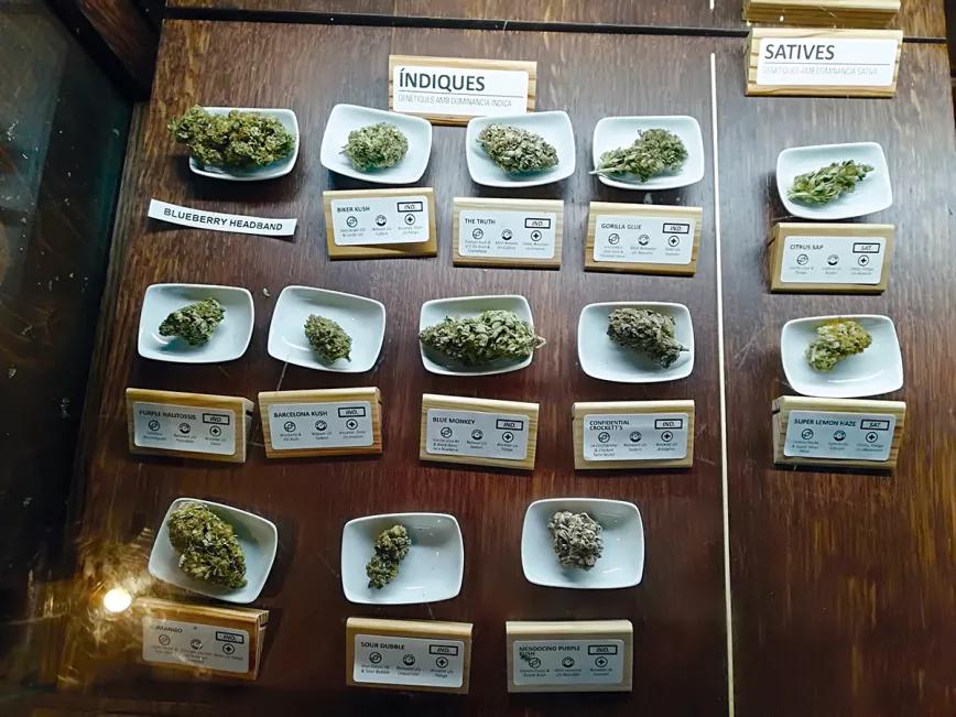 Los mostradores de los clubs de consumidores son una tentación para el amante de catar cosas nuevas. 