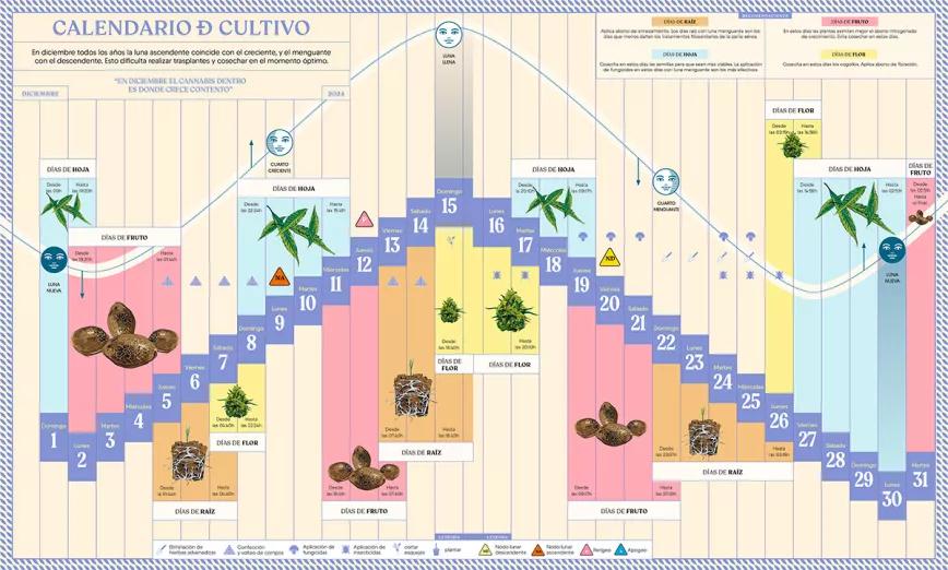 Lunario de diciembre 2024 