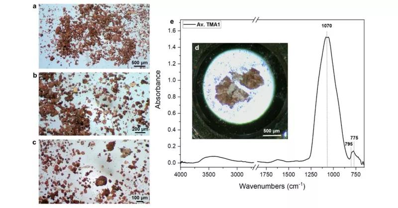 Científicos descubren restos de plantas alucinógenas en una taza del antiguo Egipto