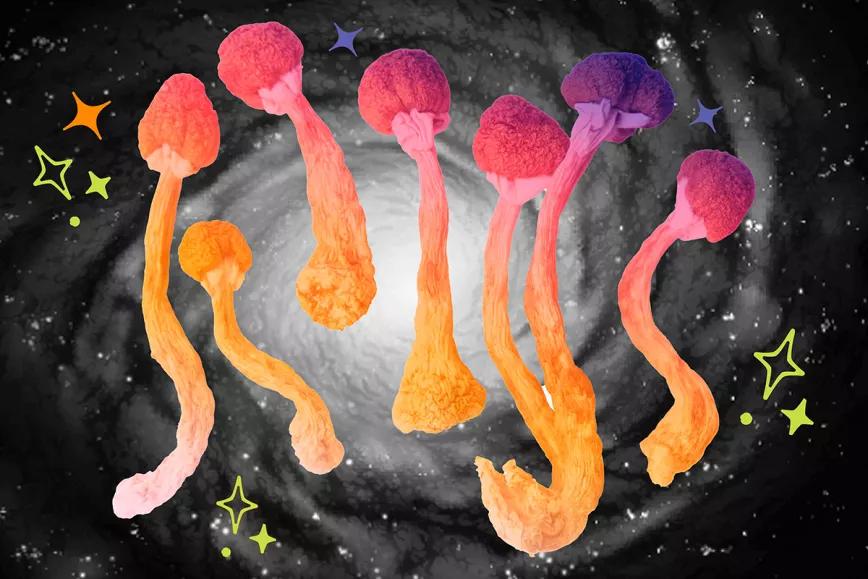 ¿Cómo afrontar un mal viaje de psilocibina?