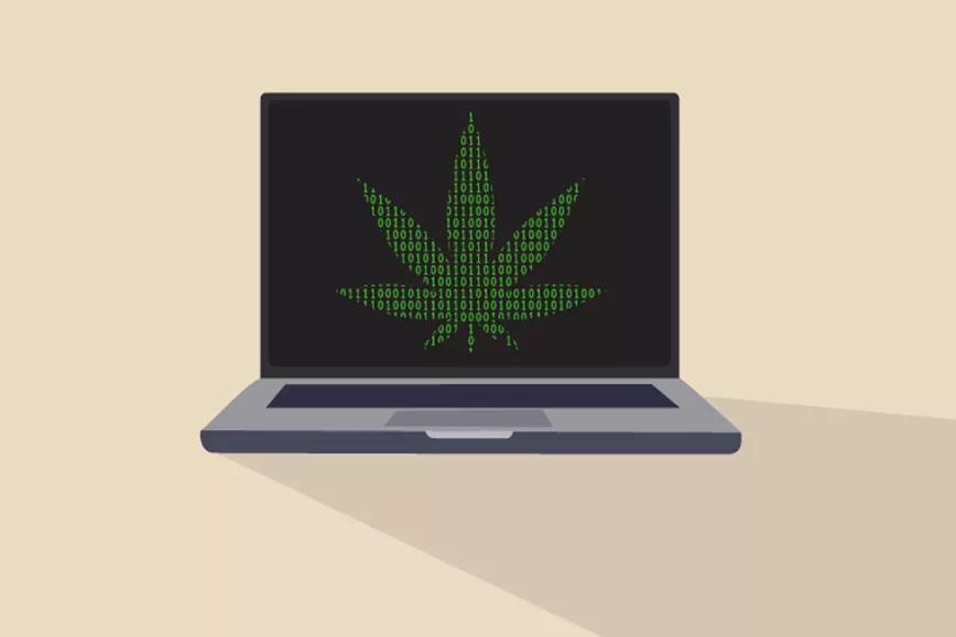 https://canamo.net/noticias/mundo/se-publicaron-mas-de-35-mil-articulos-cientificos-de-cannabis-en-la-ultima-decada