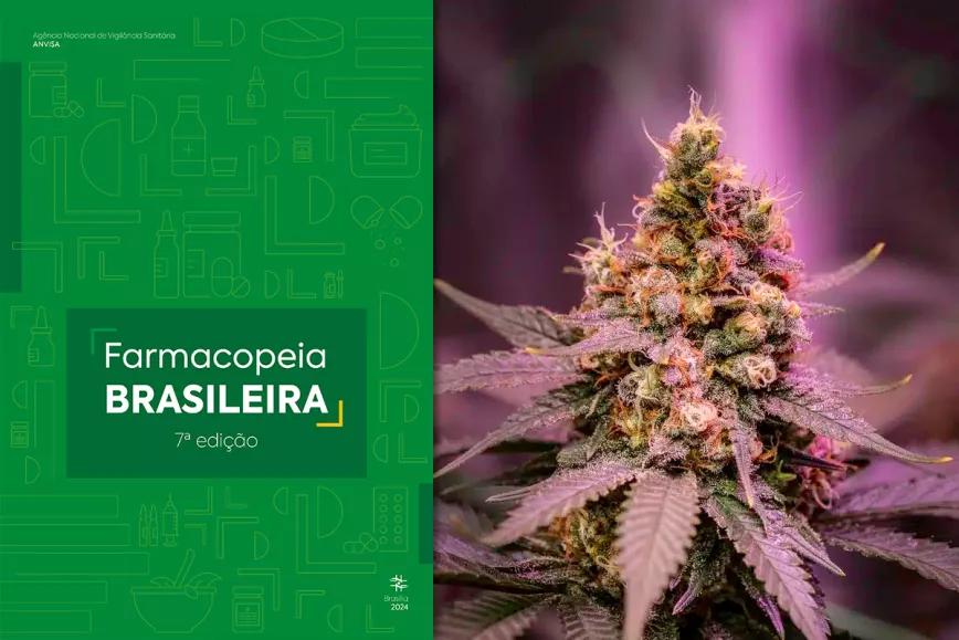El cannabis se incorporó a la Farmacopea Brasileña